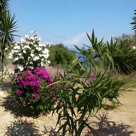 וילה Casa Delle Stelle סקופלו